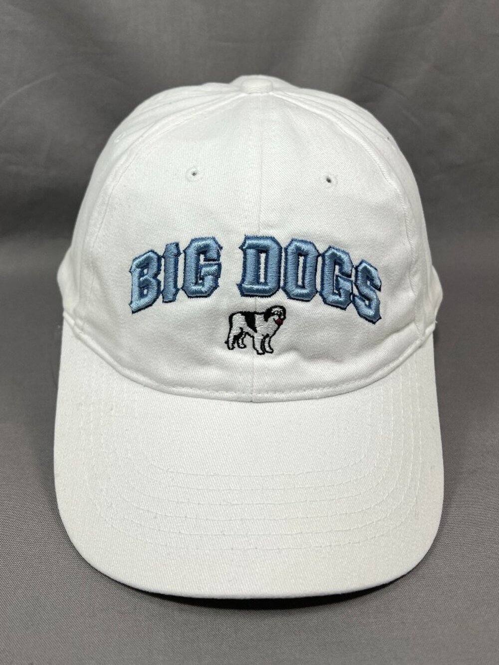 Big Dogs Baseball Hat White Blue Arch Logo Strapback Spellout Adjustable Dad Cap
